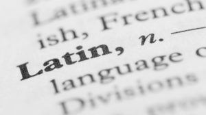 Latin Translation Services